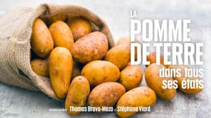 Episodio 12