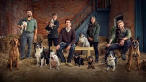 Bad Dog Academy — foto 2