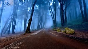 These Woods Are Haunted — foto 1