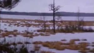 По прямой — foto 1