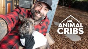 Animal Cribs — foto 4