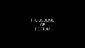 The Sublime of Rectum — foto 1