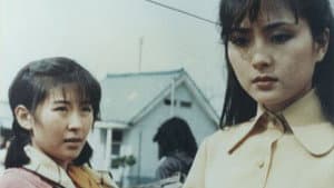 그 해 겨울은 따뜻했네 — foto 1