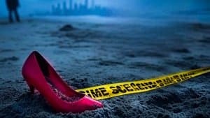 Chicas desaparecidas: El asesino en serie de Long Island — foto 10