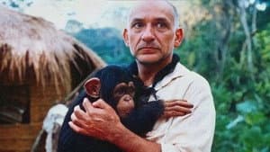 O Quinto Macaco — foto 1