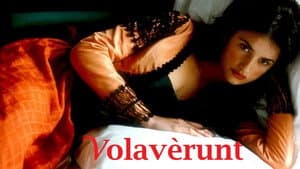 Volavérunt — foto 2