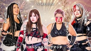 第15回 ゴッデス・オブ・スターダム ～タッグリーグ決勝トーナメント～ in OSAKA — foto 3