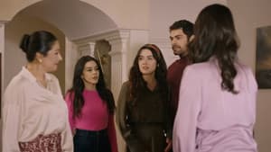 Episodio 85