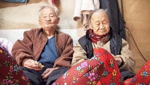 나부야 나부야 — foto 1