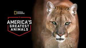 America's Greatest Animals — foto 3