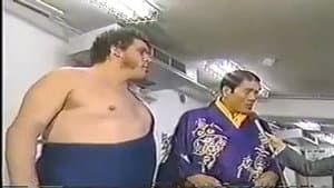 WWF/AJPW/NJPW Wrestling Summit — foto 1