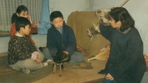 年轮 — foto 1