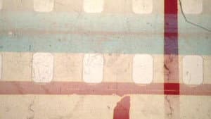 Head, Tail, Rail — foto 4