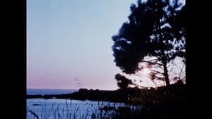 Matter of Clarity — foto 12