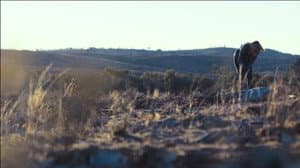Outback — foto 2