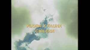 Episodio 12