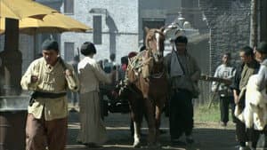 Episodio 24