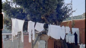 La ciutat a la vora — foto 1