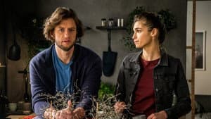 Episodio 41