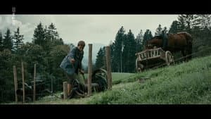 Der Verdingbub — foto 6