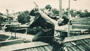 The Flyin' Buckaroo — foto 1