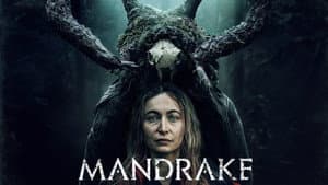 Mandrake — foto 3