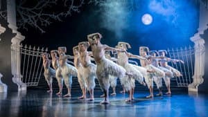 Matthew Bourne's Swan Lake — foto 1