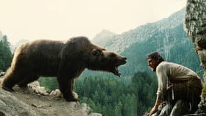 El oso — foto 1