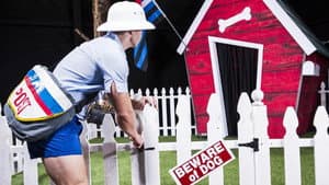 Skuff: Dog House — foto 3