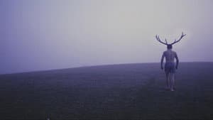Deer Boy — foto 4