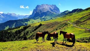 La Grande Bellezza - Vite segrete e luoghi nascosti d'Italia — foto 1