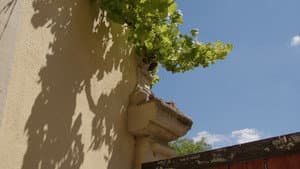 Von den Memoiren eines Hauses — foto 3