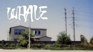 Whale — foto 1