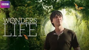 Wonders of Life — foto 2
