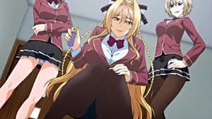 アダルト — foto 3