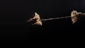 Unraveled — foto 1
