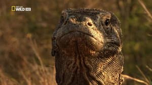 Venom Islands — foto 4
