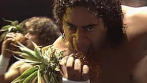 Episodio 26