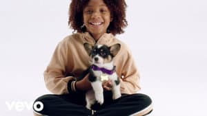 Puppy for Hanukkah — foto 1
