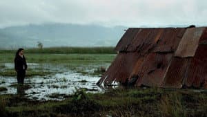 La Sirga — foto 2