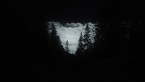 I HAVE NOT BEEN AFRAID OF GOING BLIND FOR A LONG TIME — foto 2