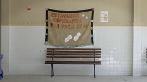 Antes do livro didático, o cocar — foto 3