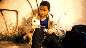 Katrina's Son — foto 1