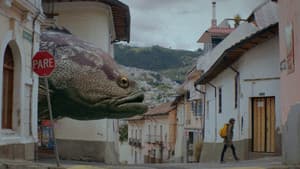 Alucina — foto 1