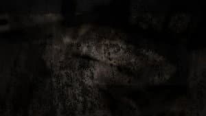 Aux origines du mal — foto 1