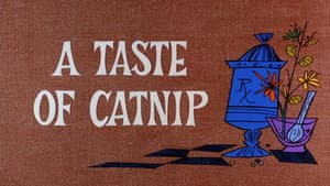 A Taste of Catnip — foto 1