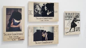 The Ballad of Sexual Dependency — foto 1