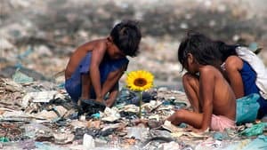 Ilha das Flores — foto 1