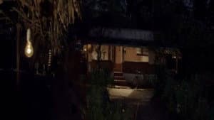 മഞ്ഞ — foto 3