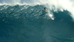 Mad Dogs — foto 1